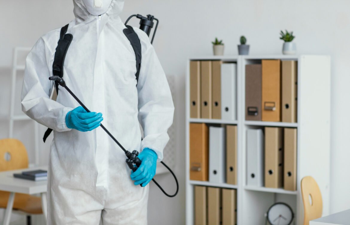 Termite Pest Control Partner with Expert Pest Control