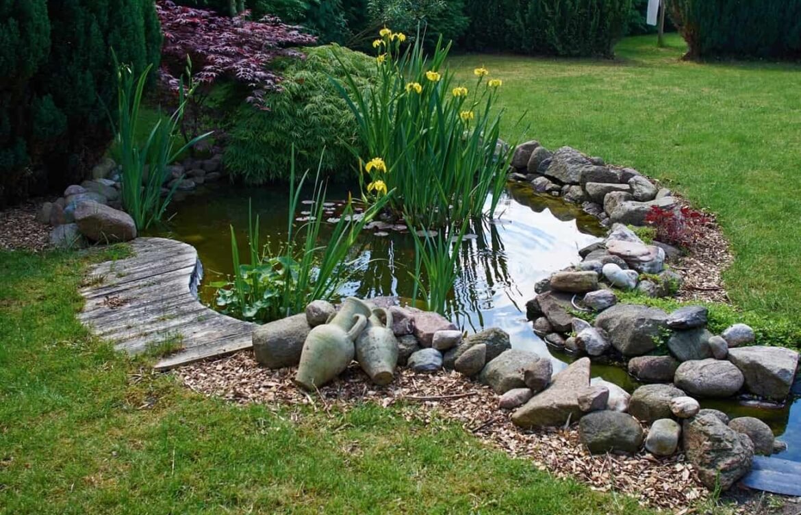The Ultimate Guide to Garden Pond Installation Services