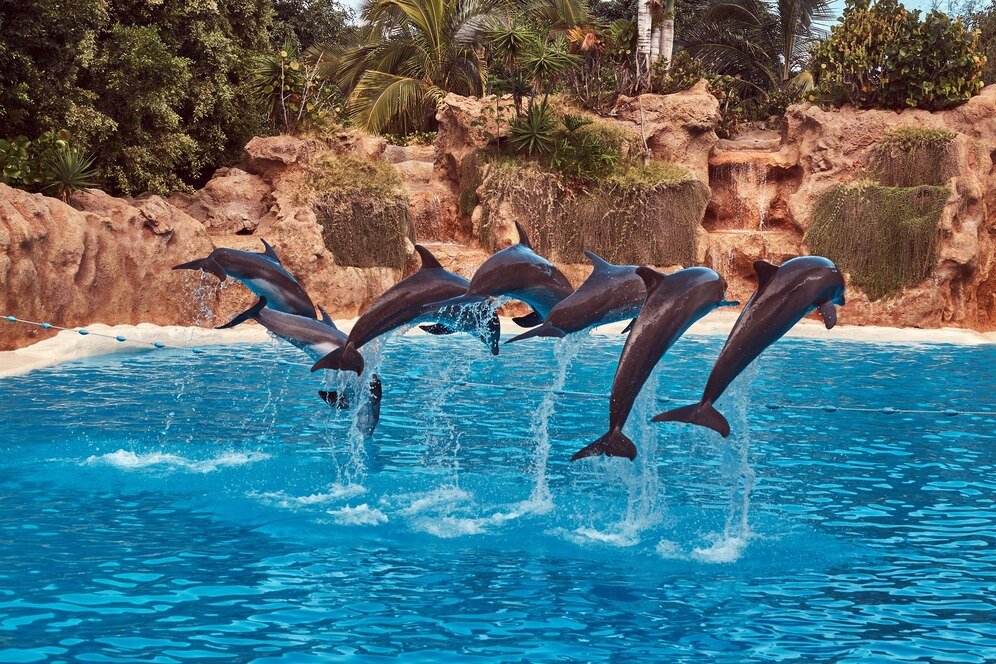 Unveil Dubai: Exclusive Tour Packages from Rajkot