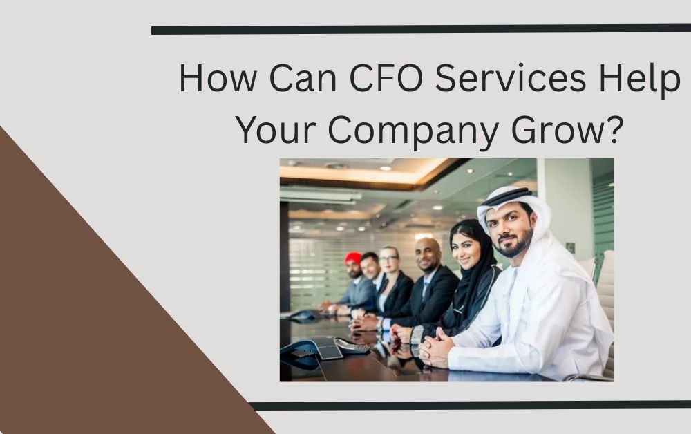 How Can CFO Services Help Your Company Grow?