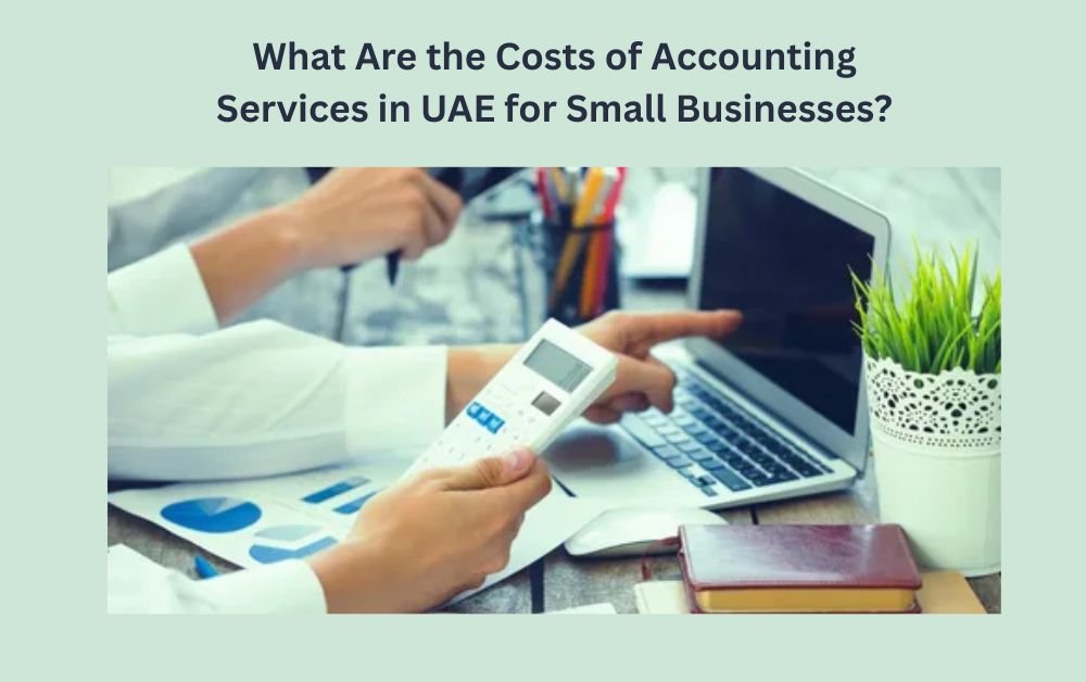 What Are the Costs of Accounting Services in UAE for Small Businesses?