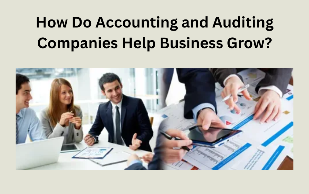 How Do Accounting and Auditing Companies Help Business Grow?