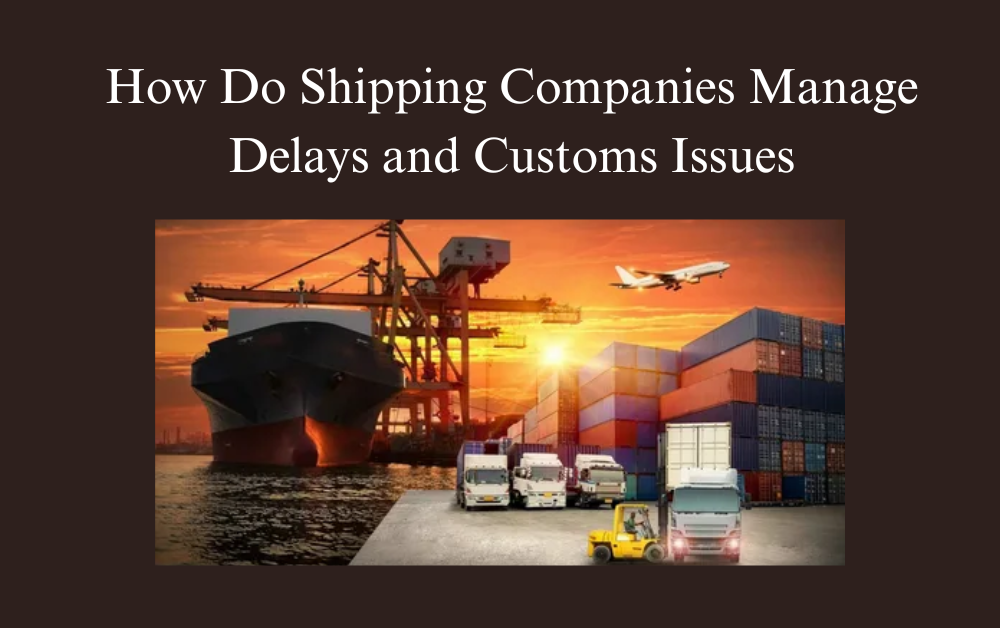 How Do Shipping Companies Manage Delays and Customs Issues