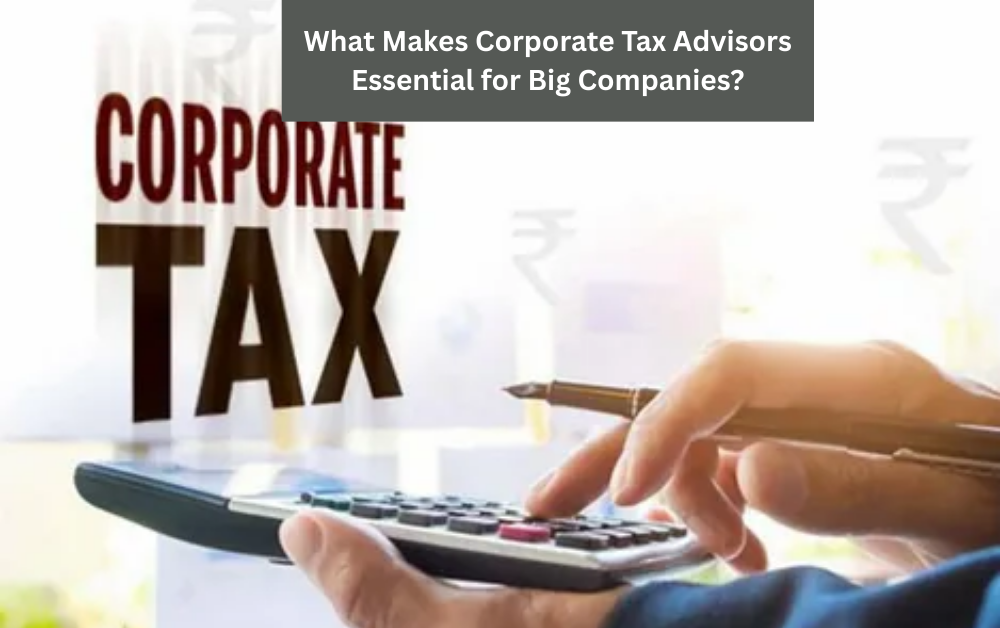 What Makes Corporate Tax Advisors Essential for Companies?