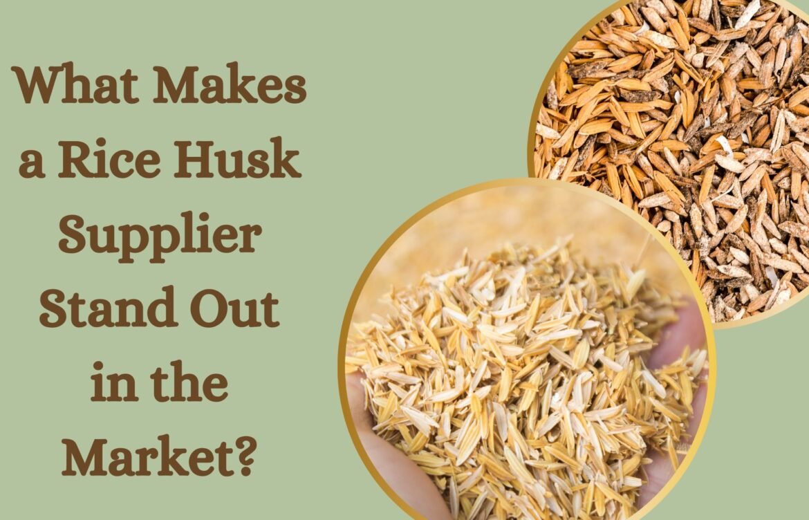 What Makes a Rice Husk Supplier Stand Out in the Market?