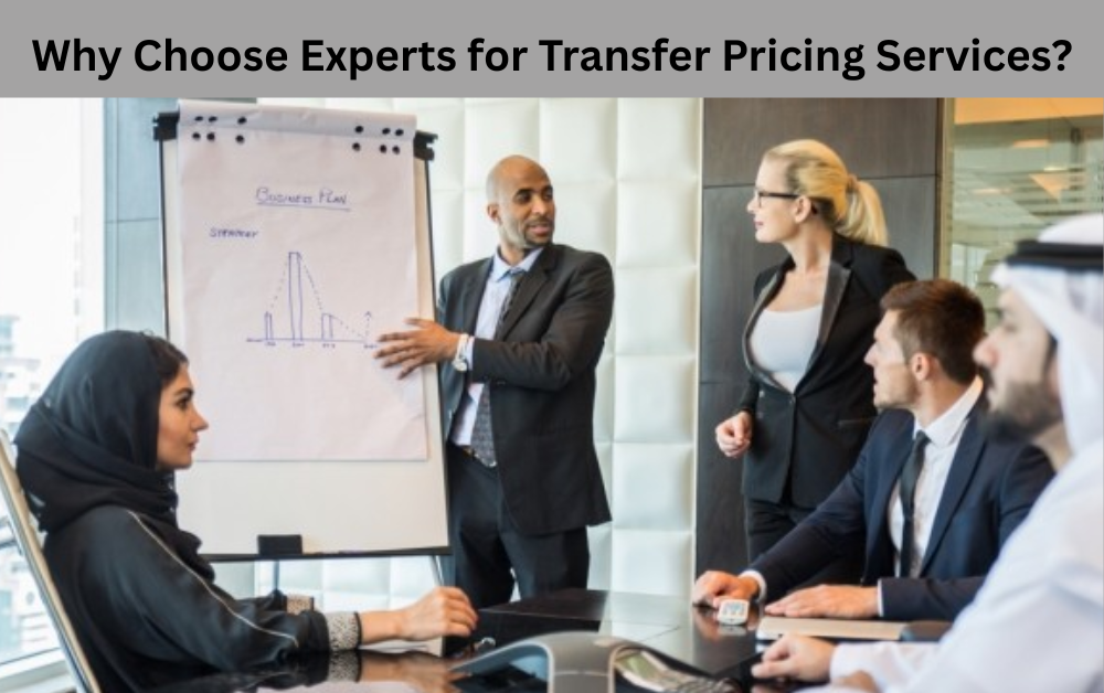 Why Choose Experts for Transfer Pricing Services?