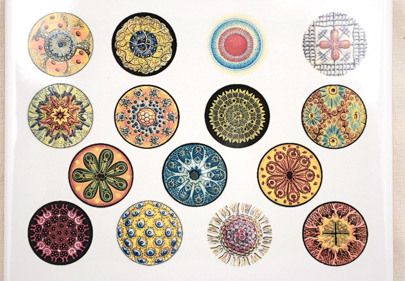 Custom Stickers for Cars Boost Identity and Style