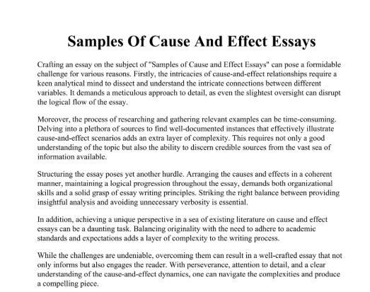 Essay
