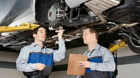 car inspection 
