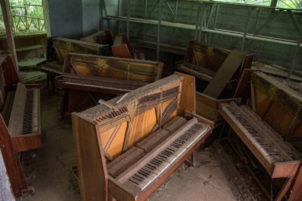 Professional Piano Moving Services Are Worth Every Note
