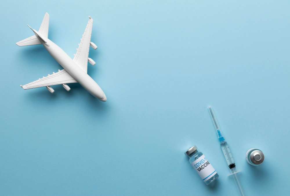 Medical Charter Flight Services: What You Need to Know