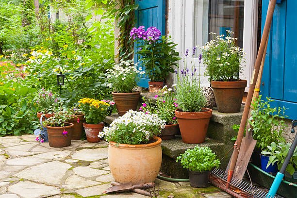 Quality Plant Nursery in Gurgaon is Top Choice for Gardeners