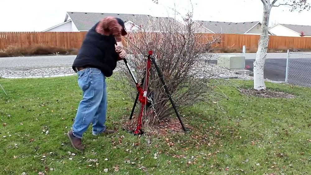 Mastering Lawn Maintenance with a Grass Burr Roller: Tips & Tricks