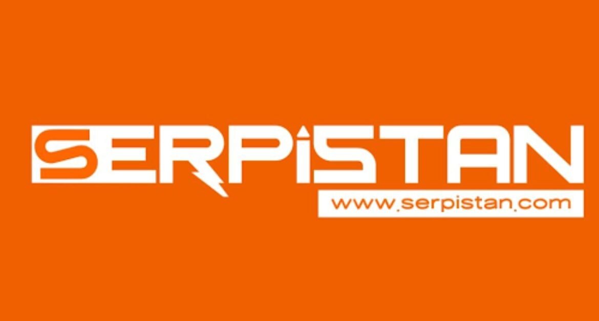 Professional SEO Services in Pakistan – Serpistan