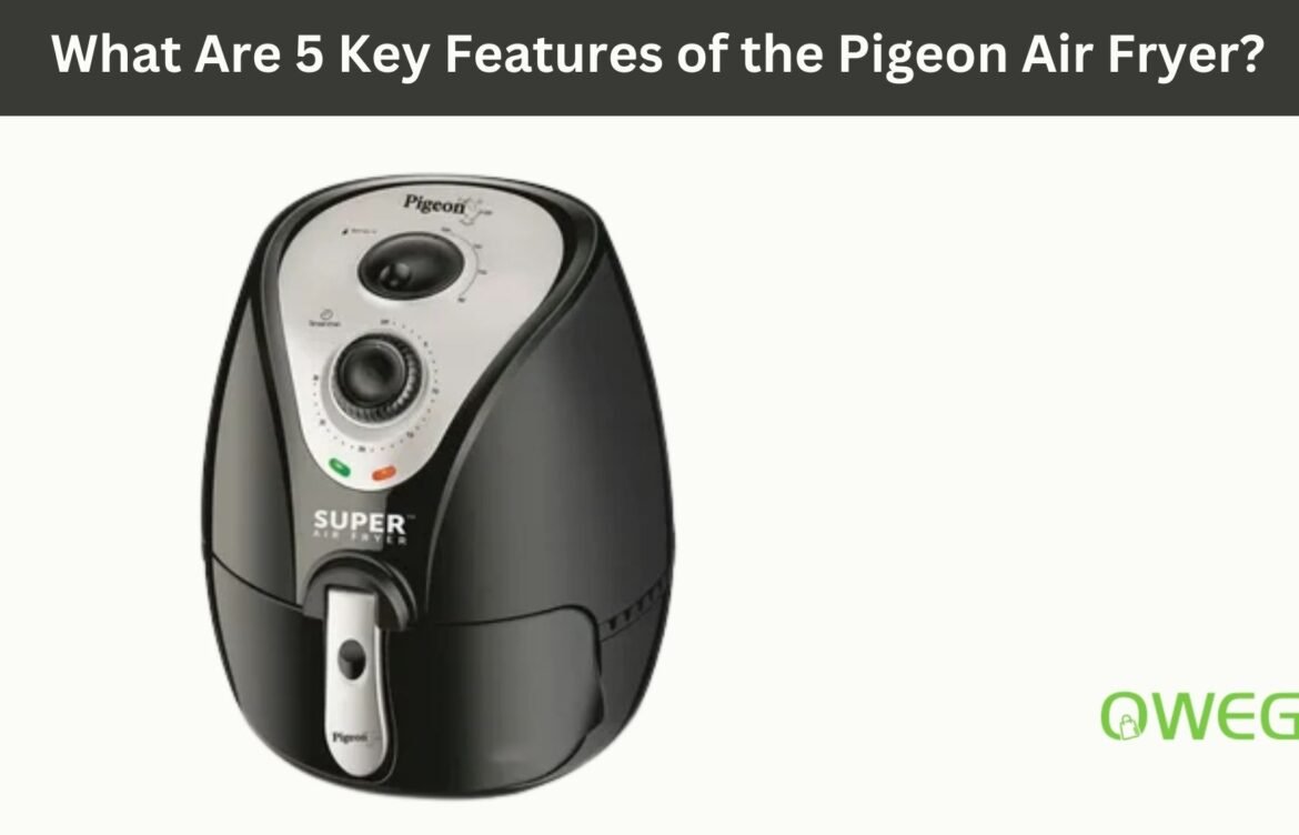 What Are 5 Key Features of the Pigeon Air Fryer?