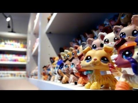 The Convenience of Ordering Cat Food Online and Exploring Pet Toy Shops