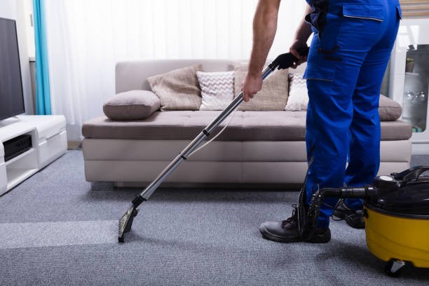 My Carpet Was a Mess and the Basement Was Worse