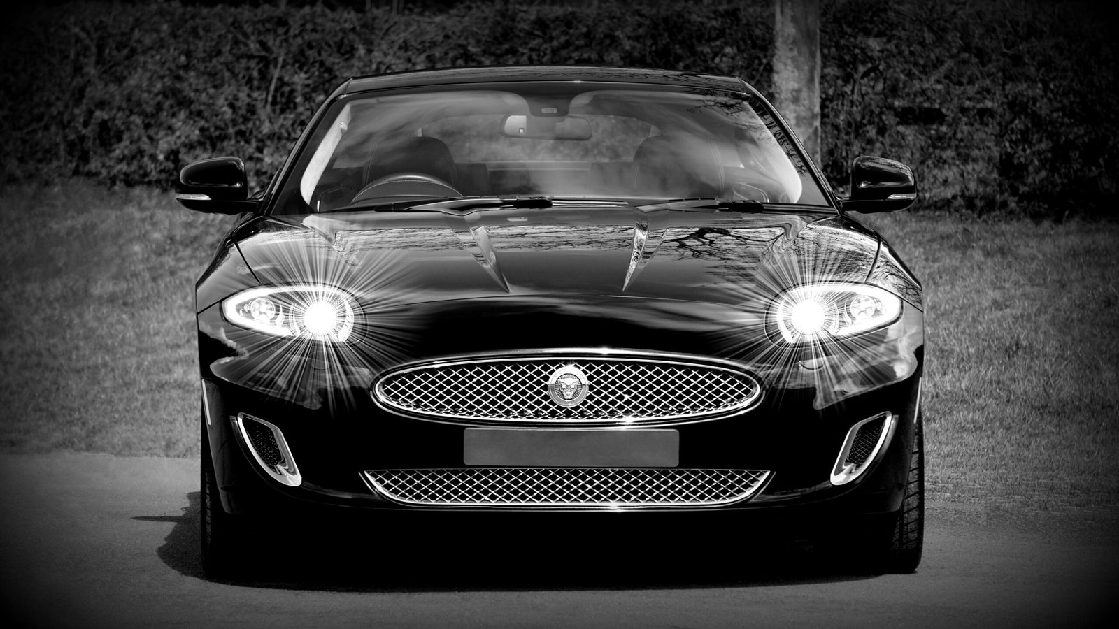 Jaguar Mechanic
